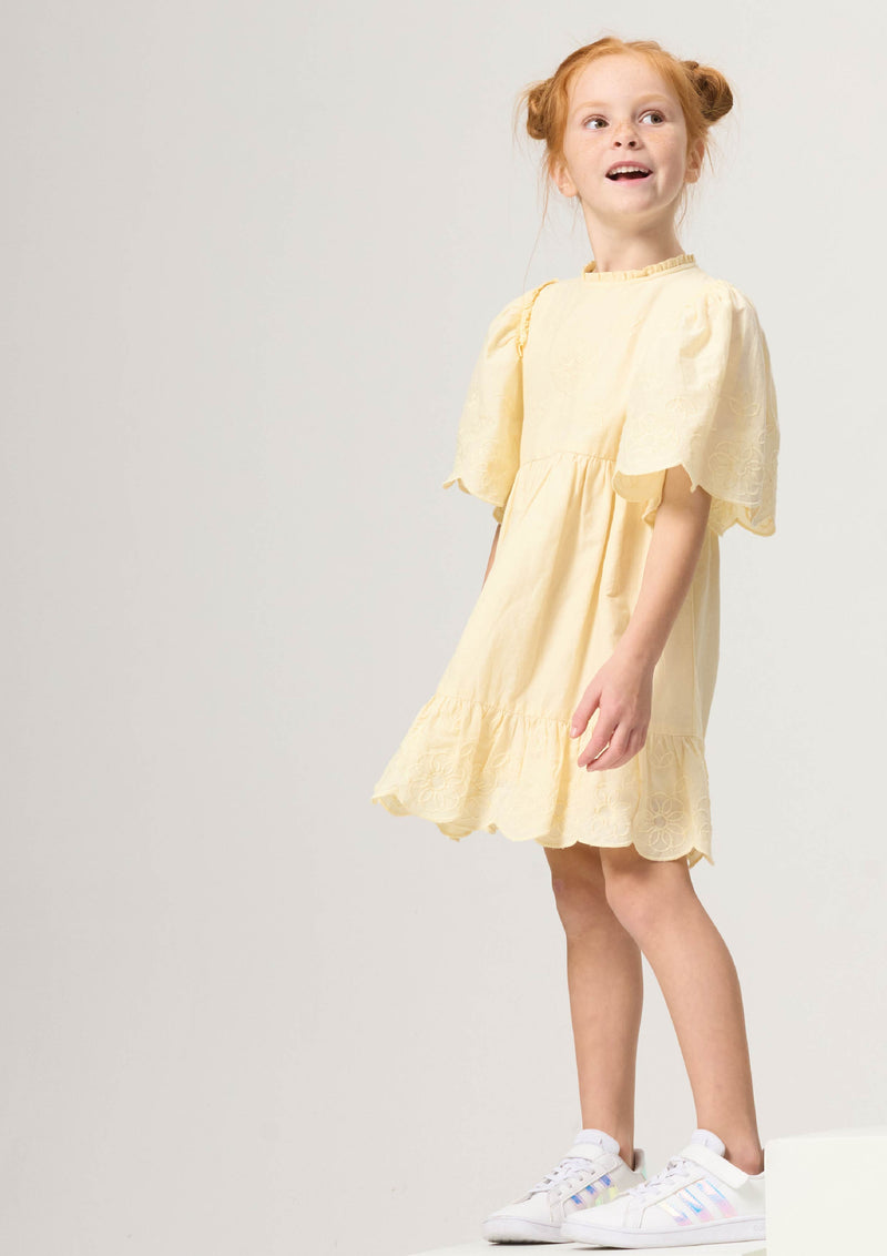 Iris Broderie Swing Dress